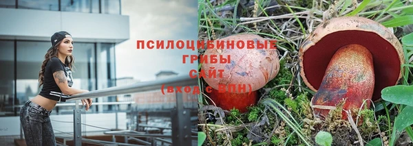PSILOCYBIN Алзамай