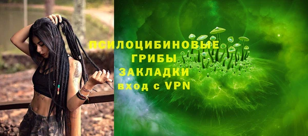 PSILOCYBIN Алзамай